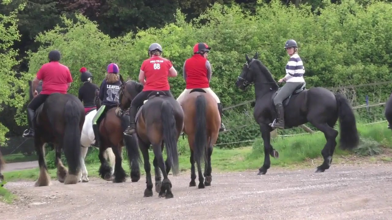 Galloping on Friesian Horse Apollo with the Blood Hounds
