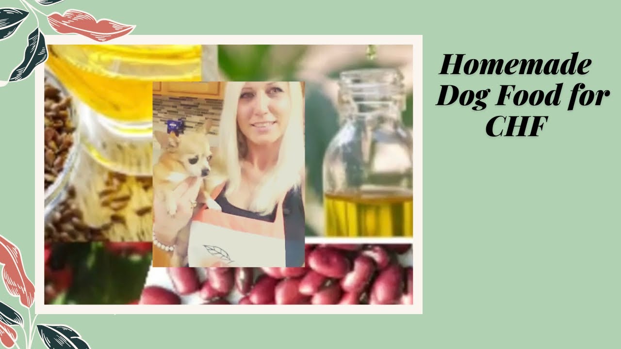 Homemade Dog Food for Congestive Heart Failure