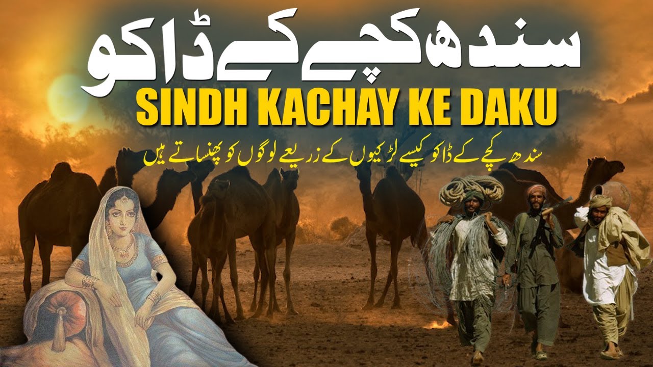 Kachay Ke Daku Sindh | Thieves Of Sindh Kachay | Pakistan Sindh & Kachy Thieves | Rohail Voice