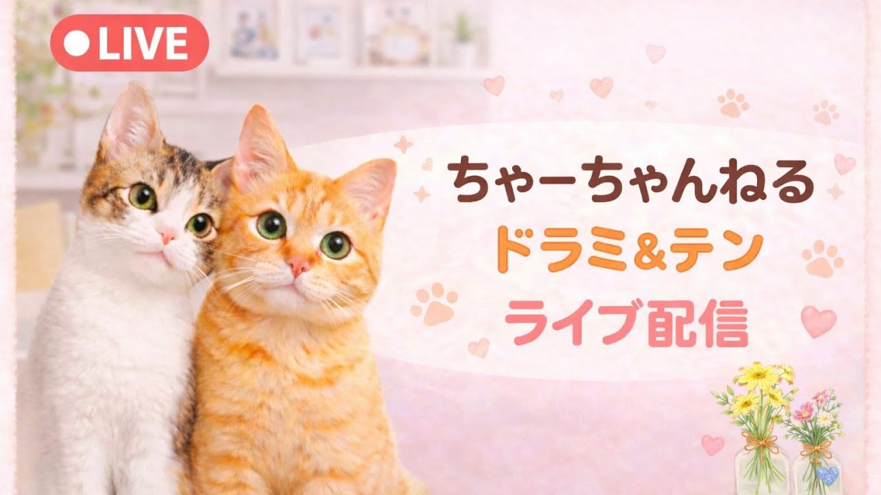No.104 夜ライブ⭐ナイスパいっぱいありがとうございます😭🙇❤今夜も楽しすぎた🐱