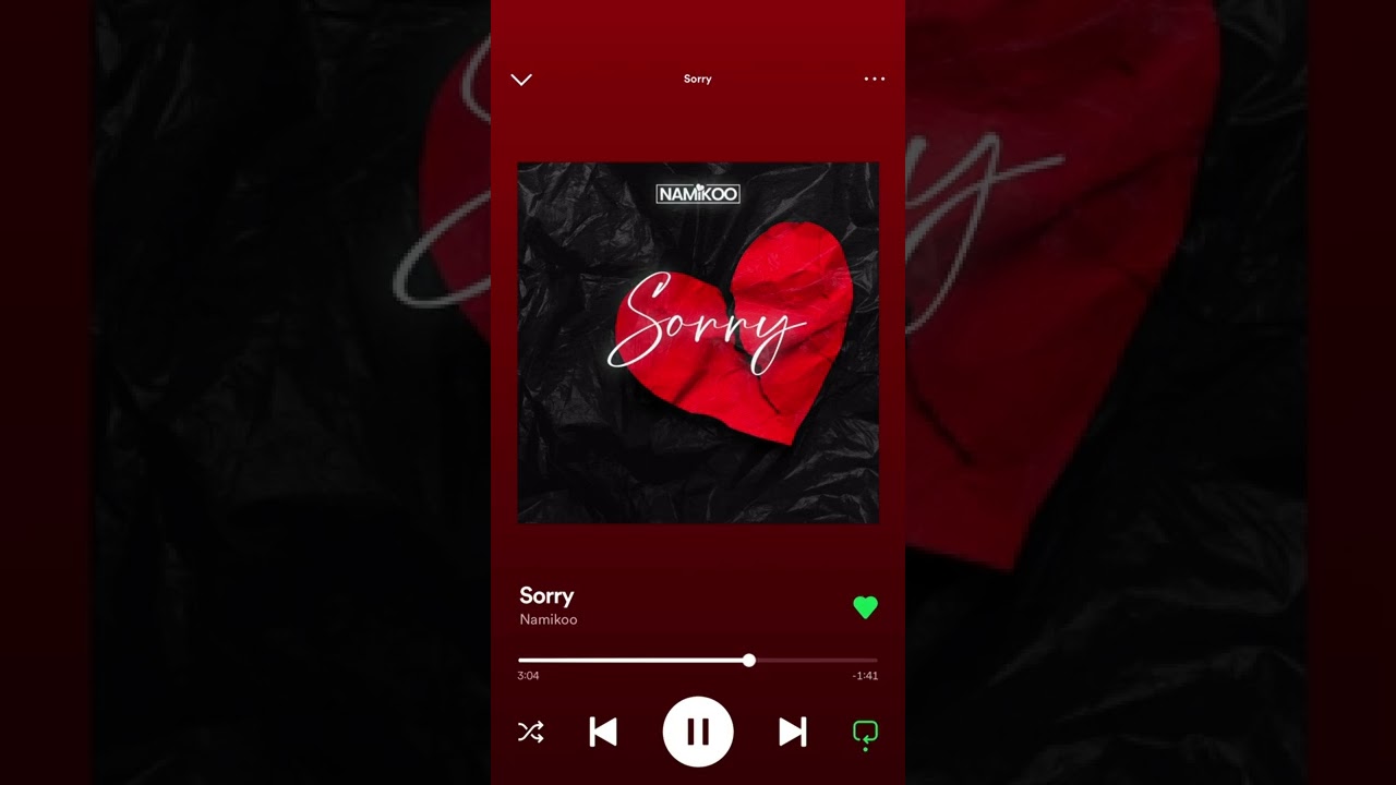 NAMIKOO - SORRY
