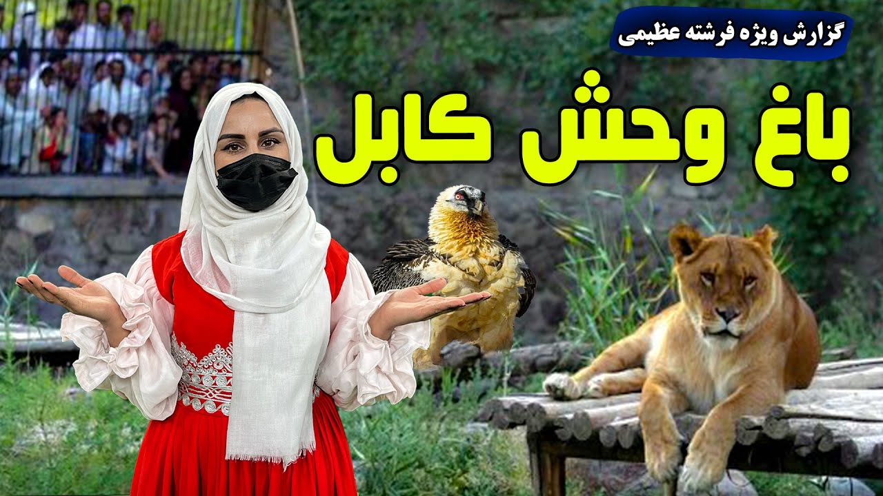 The Kabul Zoo in Freshta Azimi report / باغ وحش کابل، گزارش فرشته عظیمی
