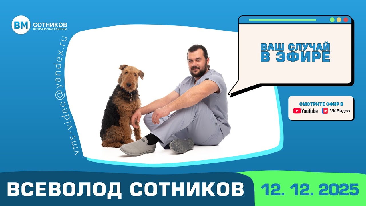 Ваш случай в эфире. Выпуск от 12.12.2025