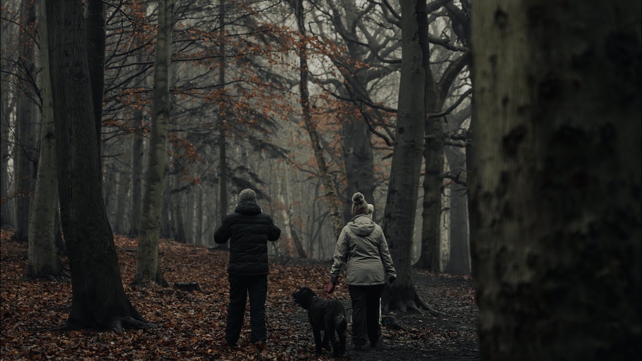 First Person Foggy POV Nature Photography | Newmillardam 4K