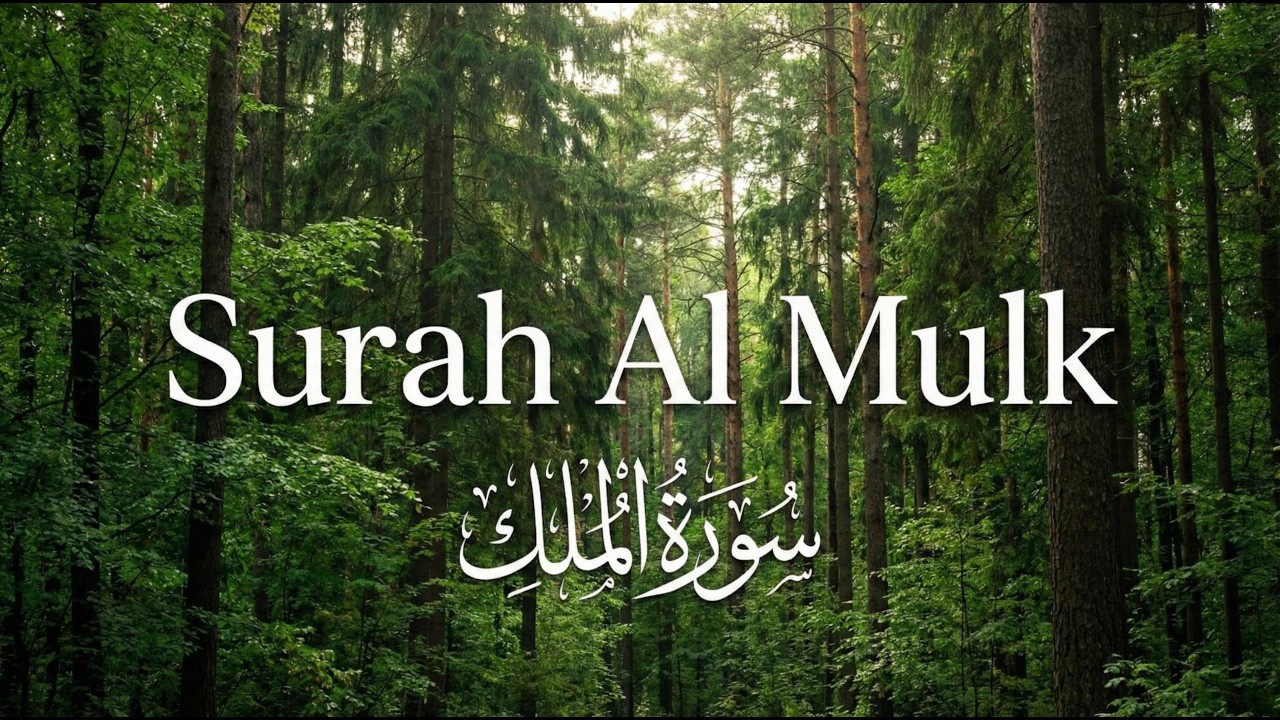 Surah Al-Mulk Full — Calming Lofi Quran Recitation | Sherif Mostafa  سورة الملك