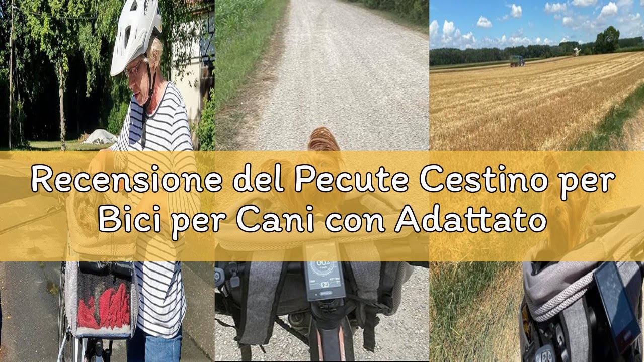 Recensione del Pecute Cestino per Bici per Cani con Adattatore per Manubrio, Borsa Portabici per Cuc