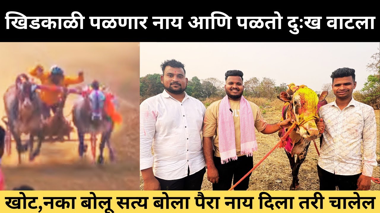 खोट नका बोलू आम्ही गाडी खेळू आता तुमच्याशी, सांगतात खिडकाळी पळणार नाही आणि तुमचा बैल पळतो, जिगर-राणा