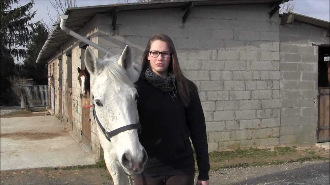 L'Equitation du Lycée de la nature et du vivant de Somme Vesle (2)
