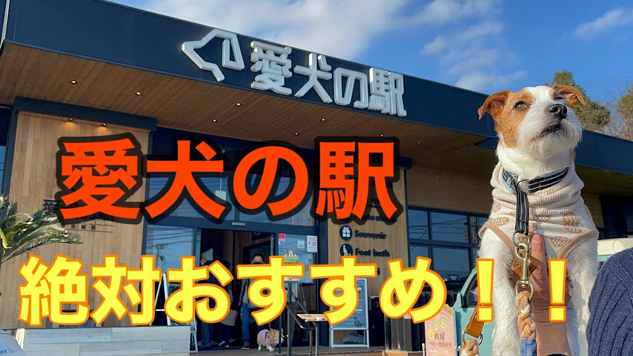 伊豆旅#6  愛犬の駅で愛犬をリフレッシュしてきた