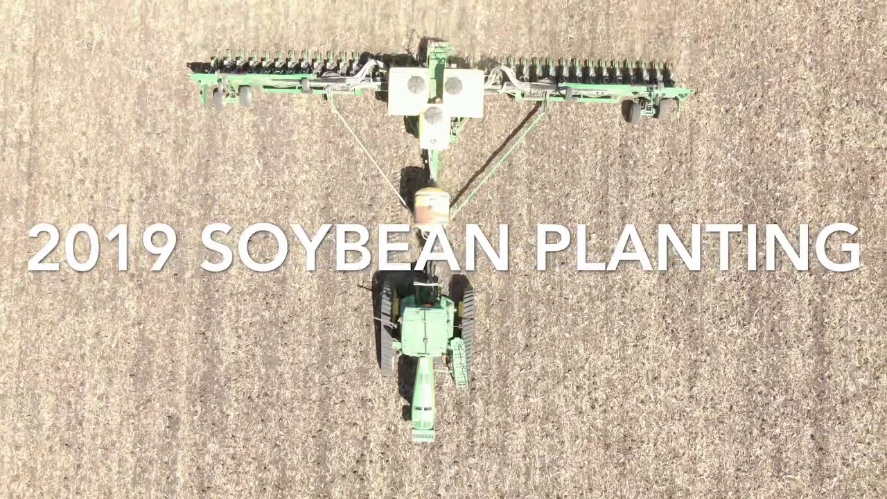 Planting Soybeans 2019