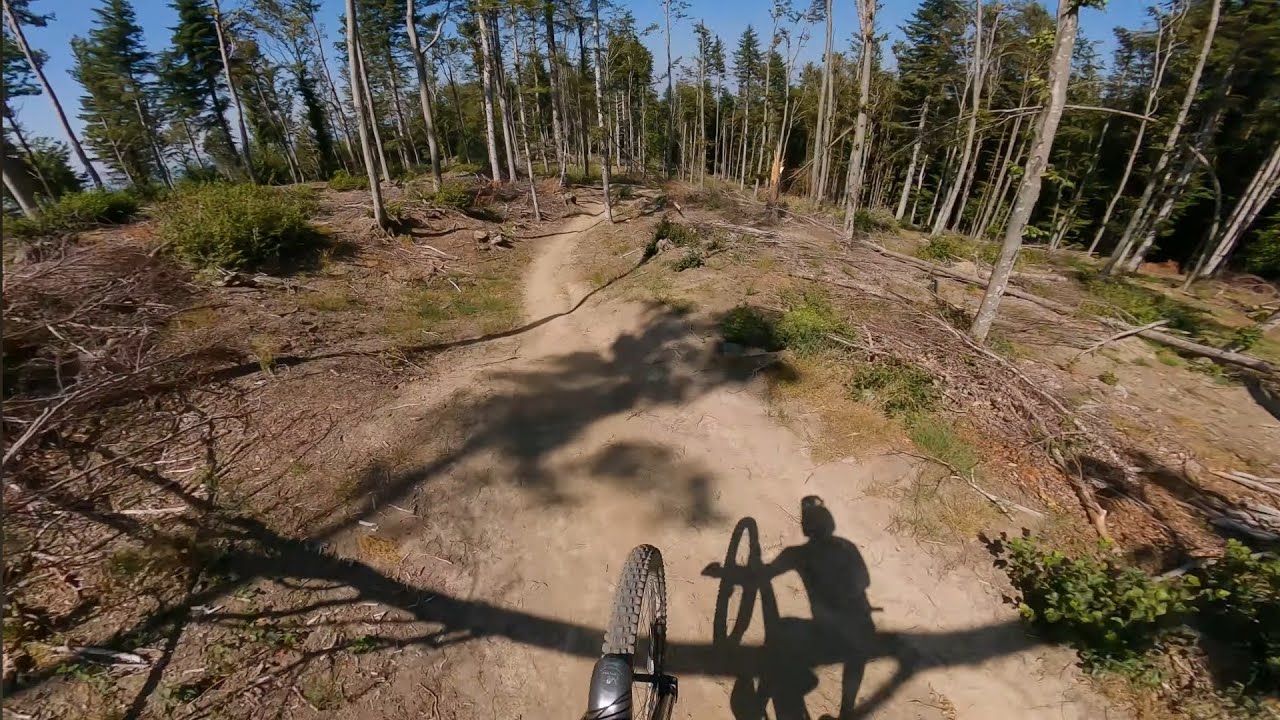 Le Pozze - Alpe di Monghidoro | Bologna Montana Bike Area