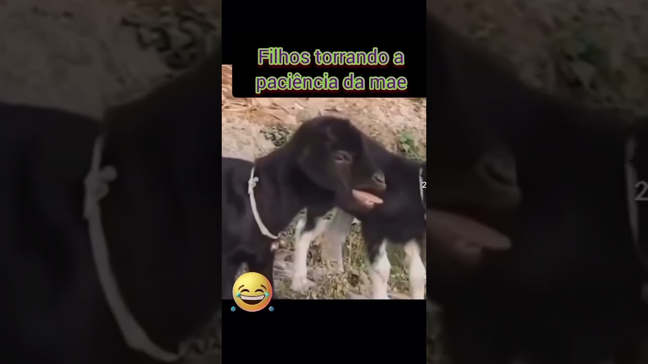 Filhos torrando a paci&ecirc;ncia da m&atilde;e #shortvideo #memefras #viralvideo #funny #fypシ゚viral
