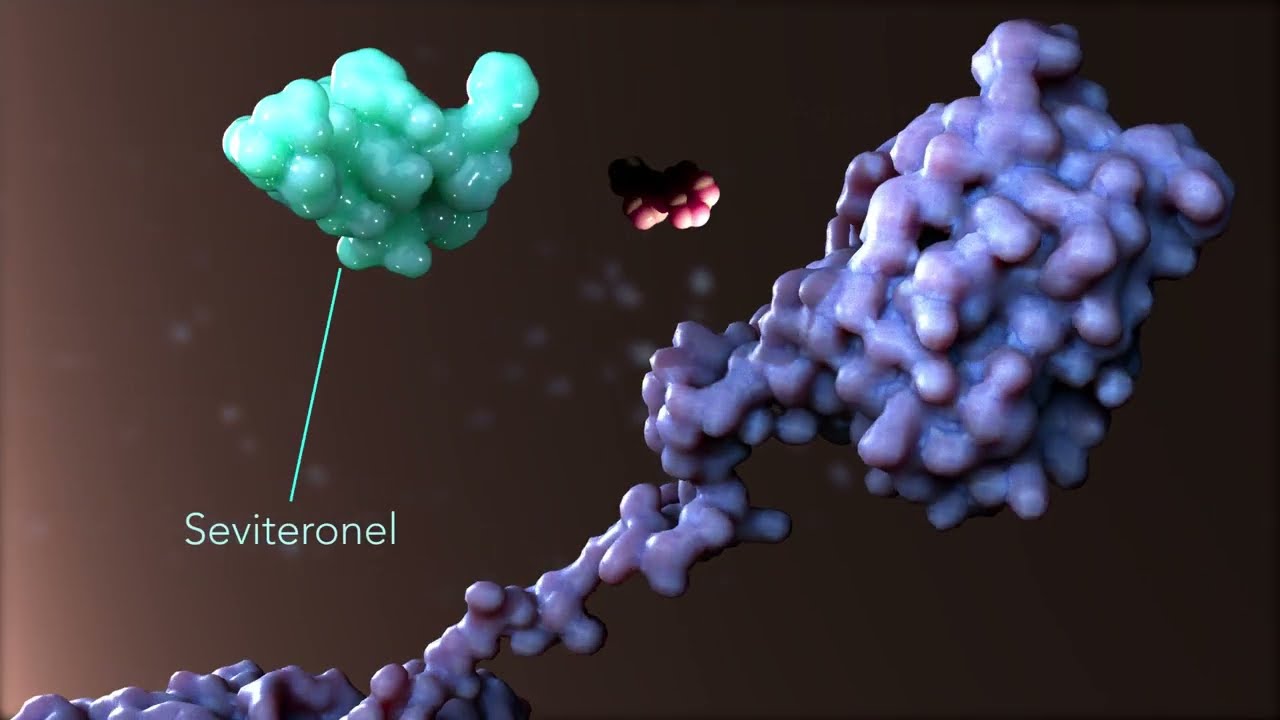 New Drug - Seviteronel can 'switch' aggressive cancer cells