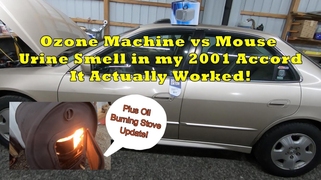 Ozone Machine vs Mouse Urine Smell in my 2001 Accord-It Actually Worked!