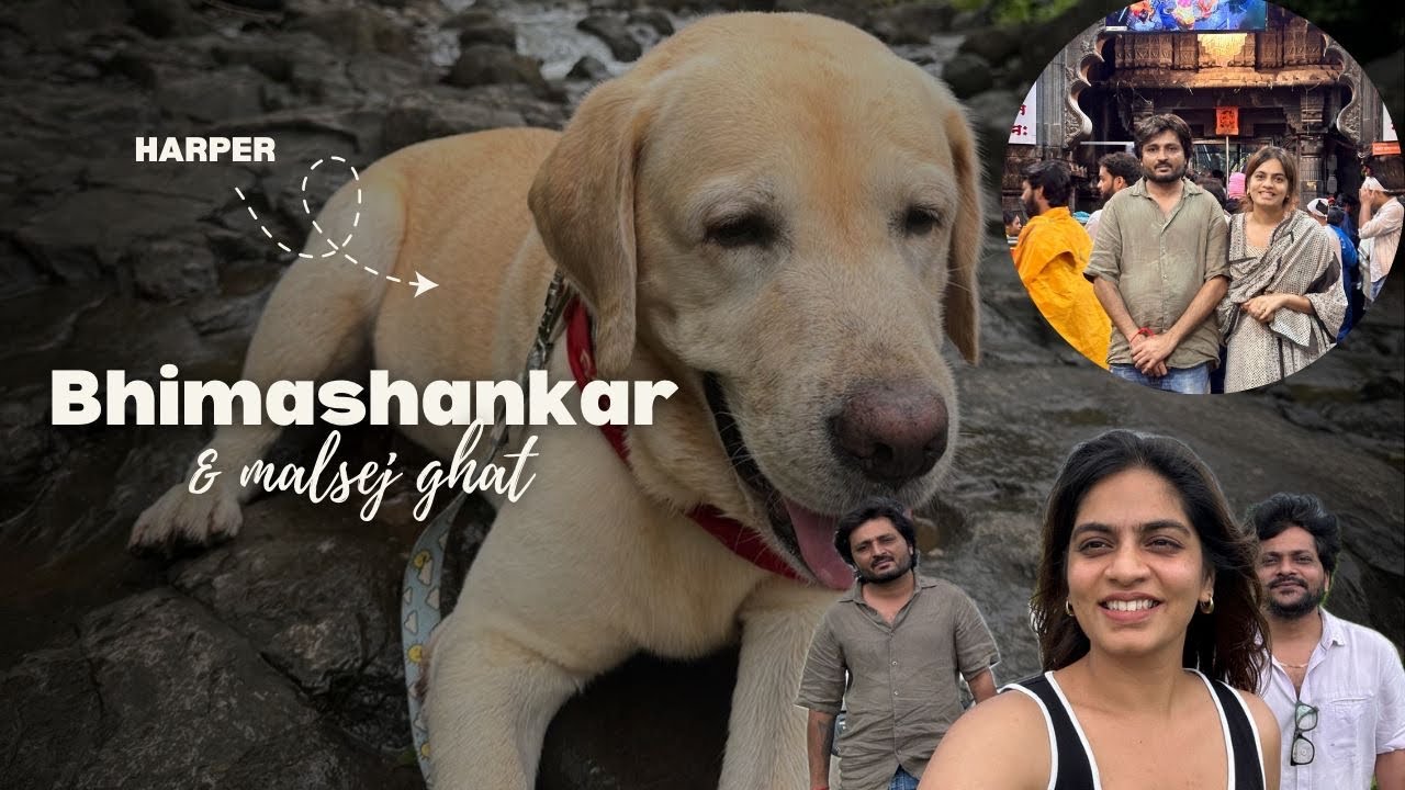 Malsej Ghat & Bhimashankar Vlog Day 2 | Monsoon Magic Continues |