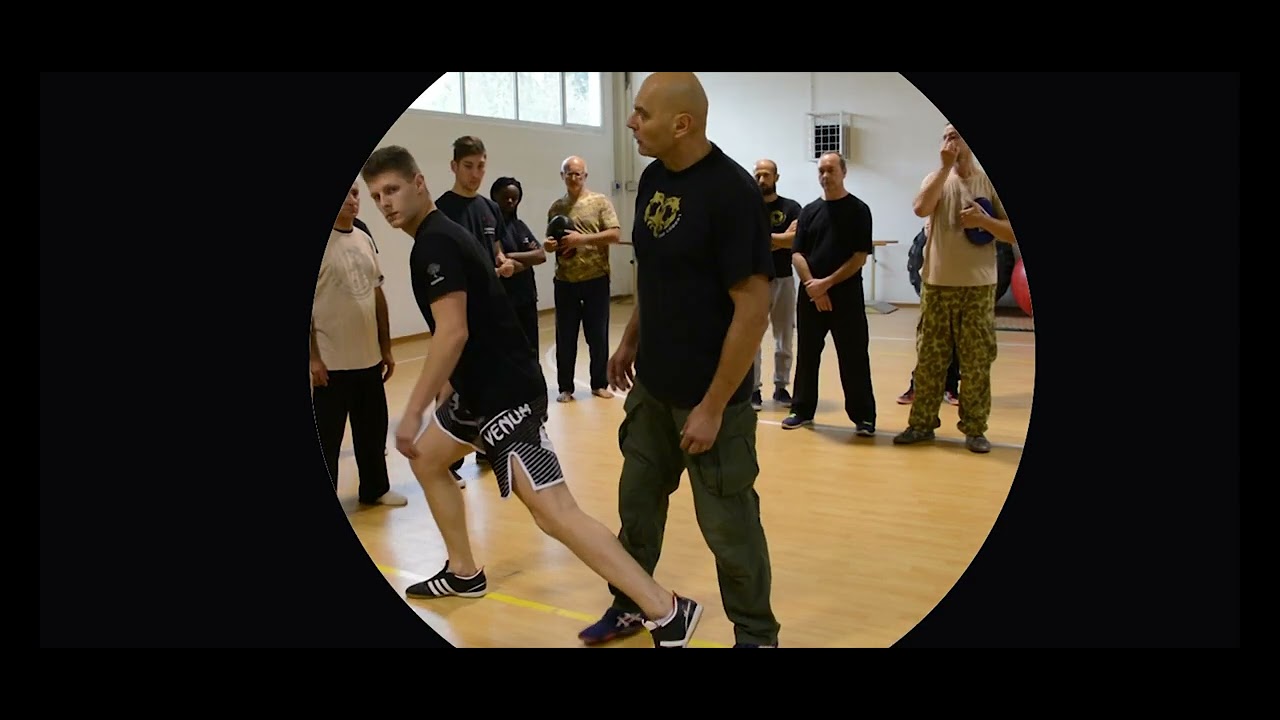 Alex Kostic, Systema Homo Ludens: Hammer Strikes and Evasive Moves