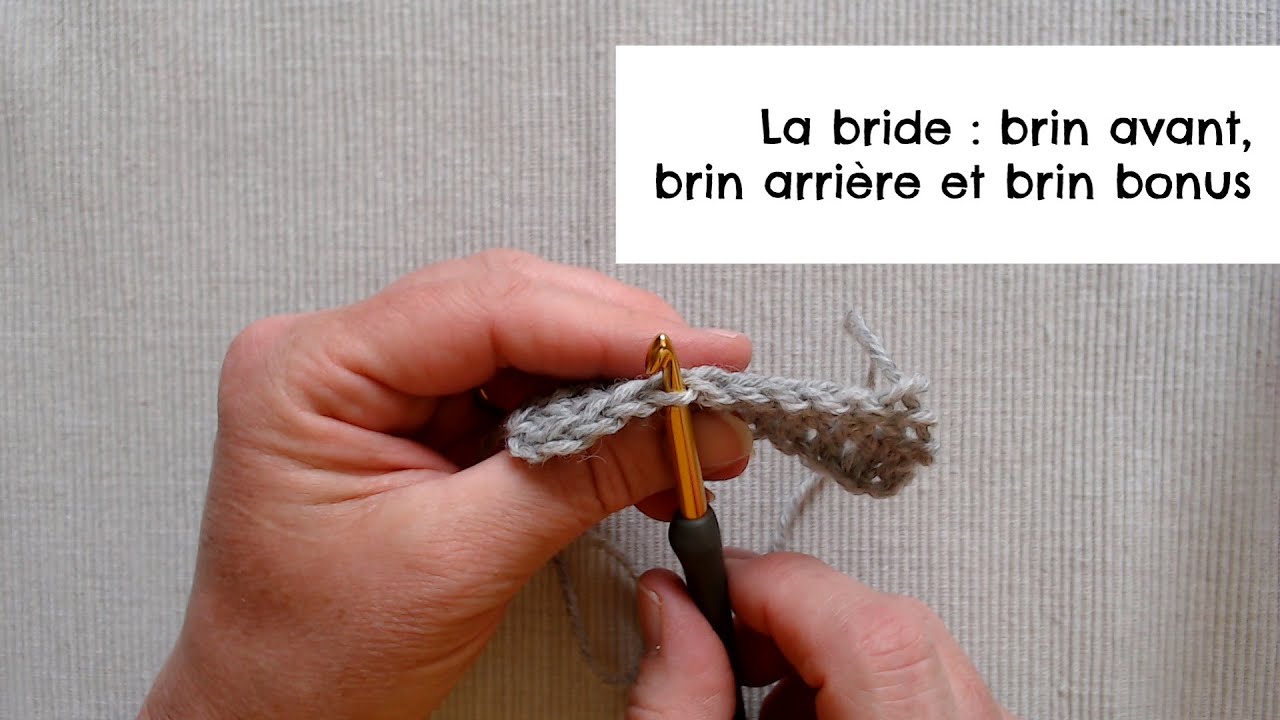 La bride : brin avant, brin arrière et brin bonus
