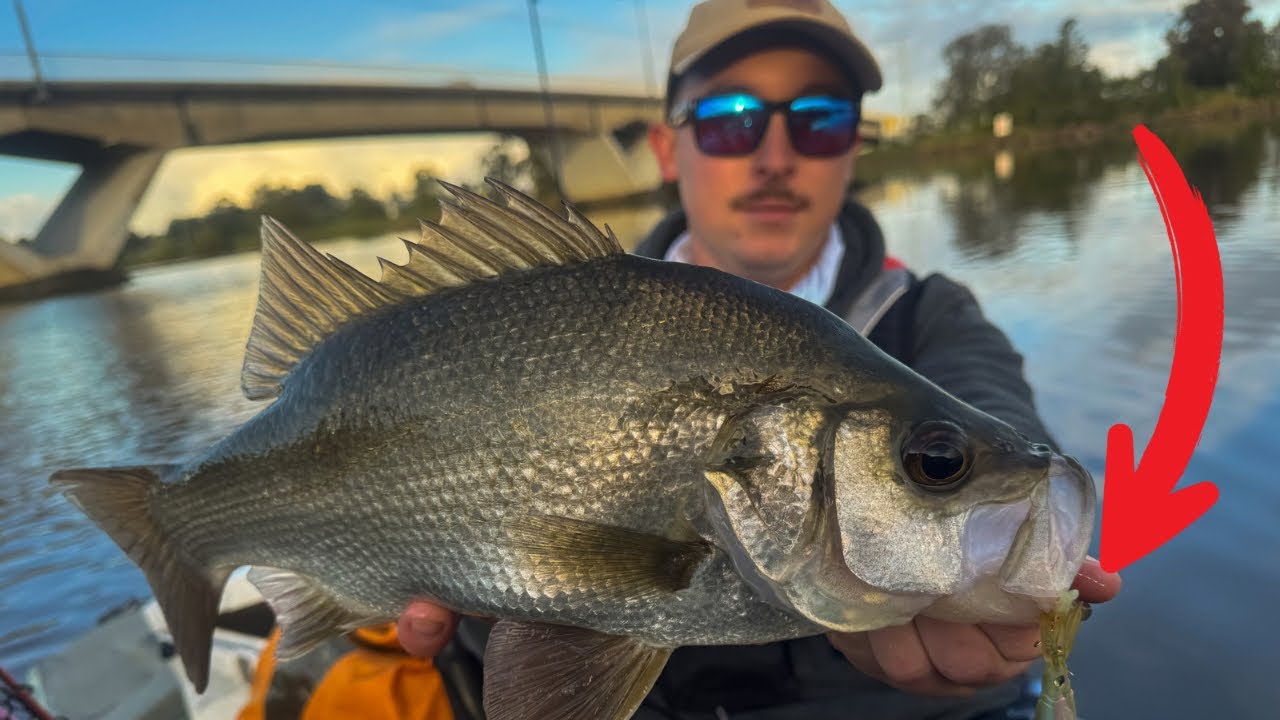 Fishing for EP on a SQUID LURE | HUNTER RIVER