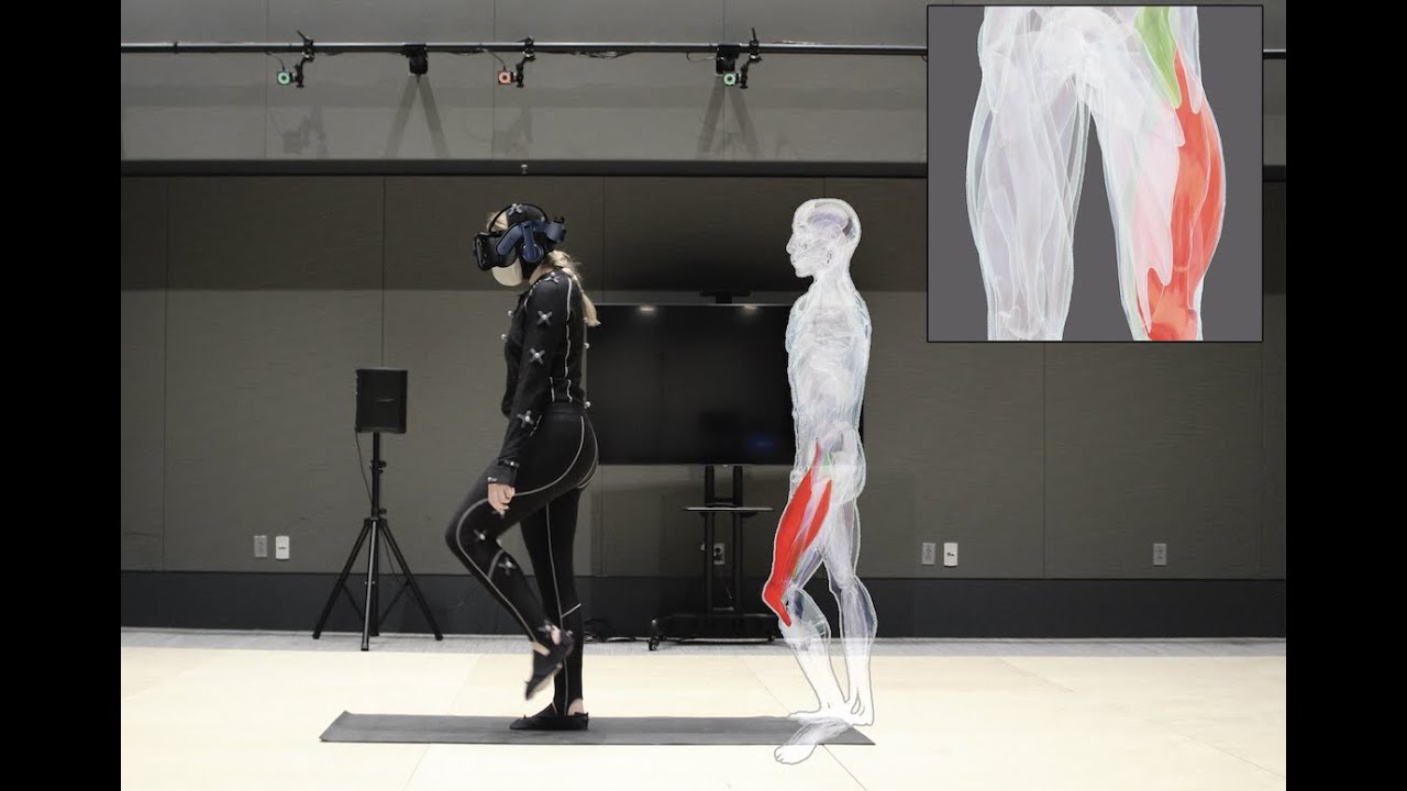 MIT system “sees” inner structure of the body during physical rehab