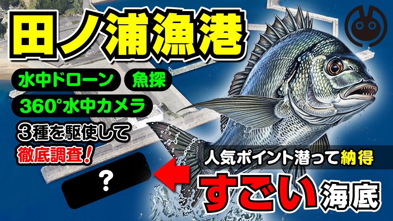 和歌山/田ノ浦漁港【釣れる場所を見える化】魚探で水深地図作成/釣り場全体CG再現