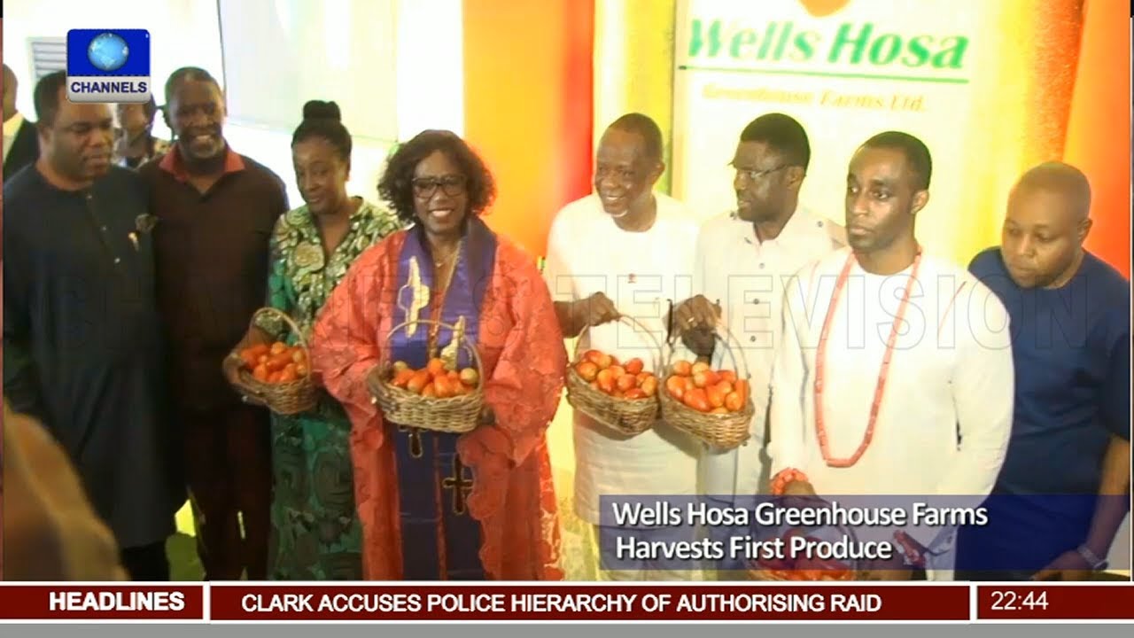 Wells Hosa Greenhouse Farms Harvests First Produce