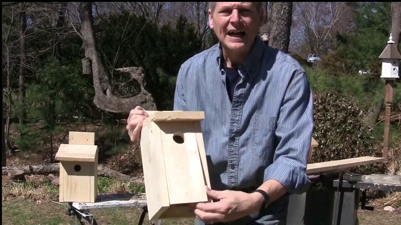 How to Build Blue Bird House