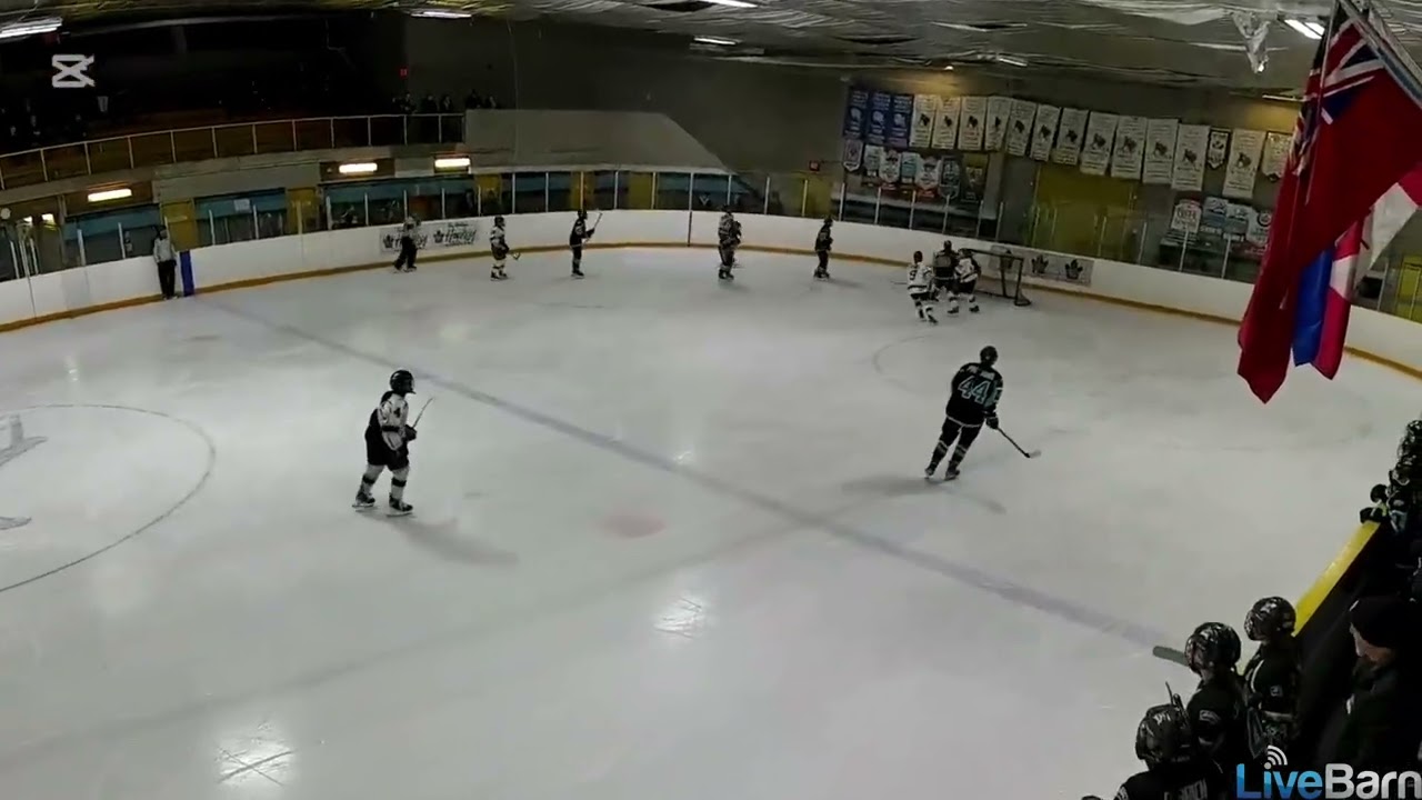 January  highlights