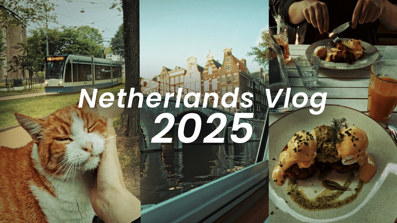 Netherlands Summer Vlog 2025 | Cats, Ferries, Trams & more