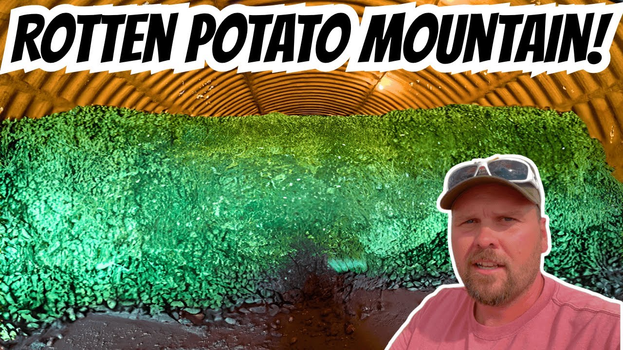 This Potato Cellar Turned Into a Rotting Disaster Zone!