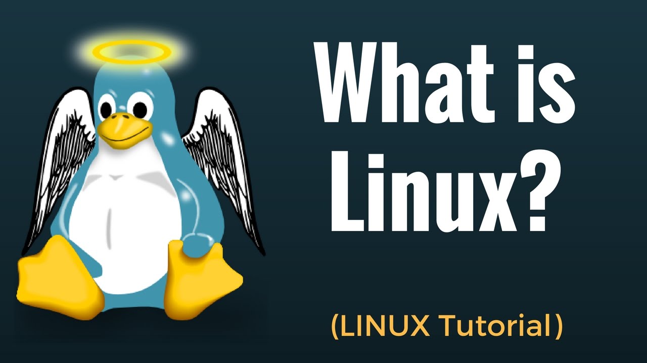 Что такое Linux? Учебник Linux 1