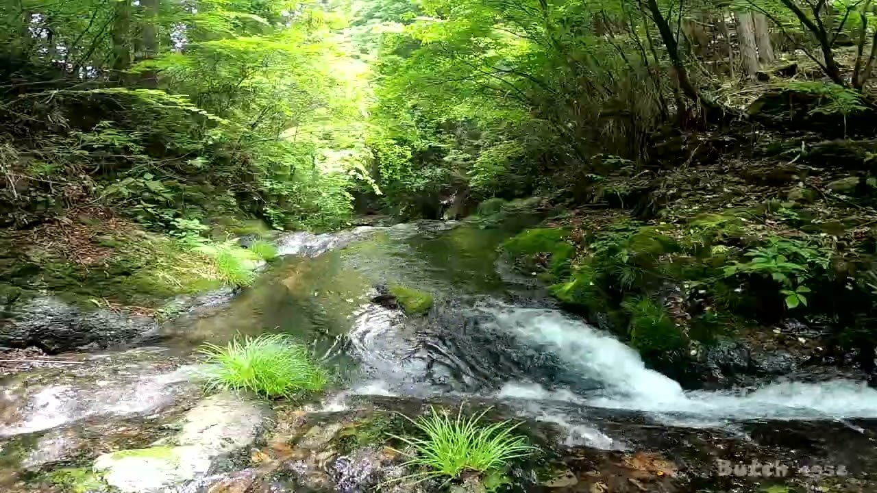 【531-75】【菅平の滝 上流滝】【東京都 檜原村】 【ブッチの3分タッキング】【202306】【1080ｐ60fps】【Japan waterfalls】