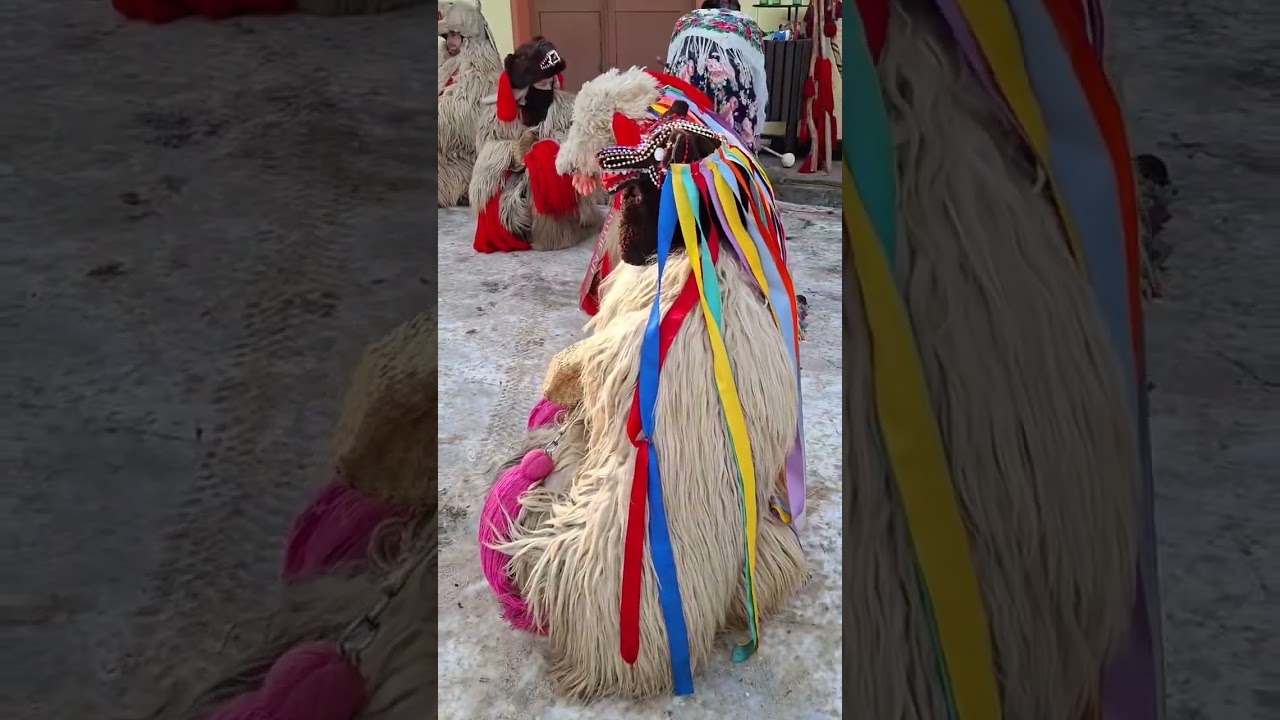 Ursii de la Gara Burdujeni pe Stil Vechi la Draguseni