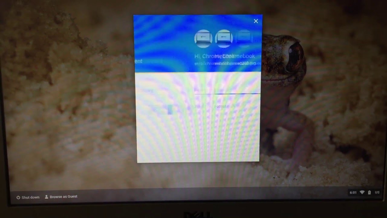 Chromebook Enrollment Automation - Rubber Ducky Hakshop
