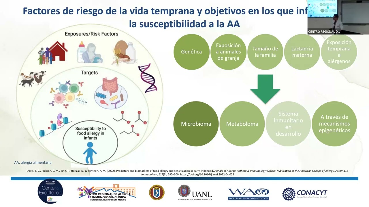 Alergia alimentaria mediada por IgE
