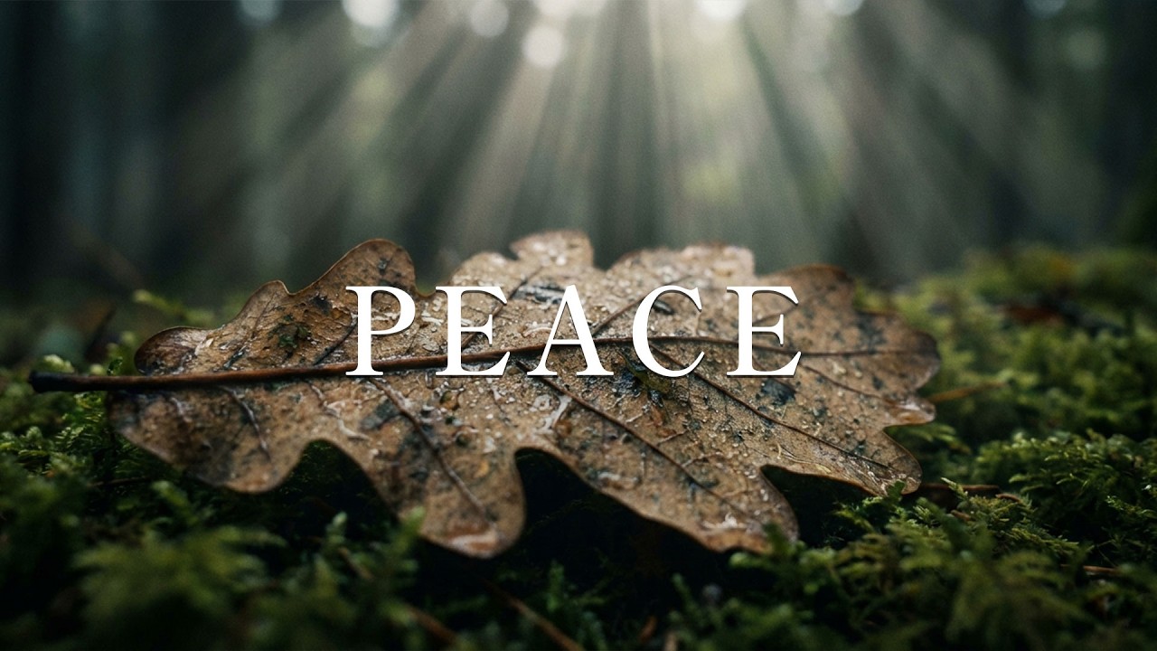 PEACE – Peaceful Guitar for Stress Relief, work and stud