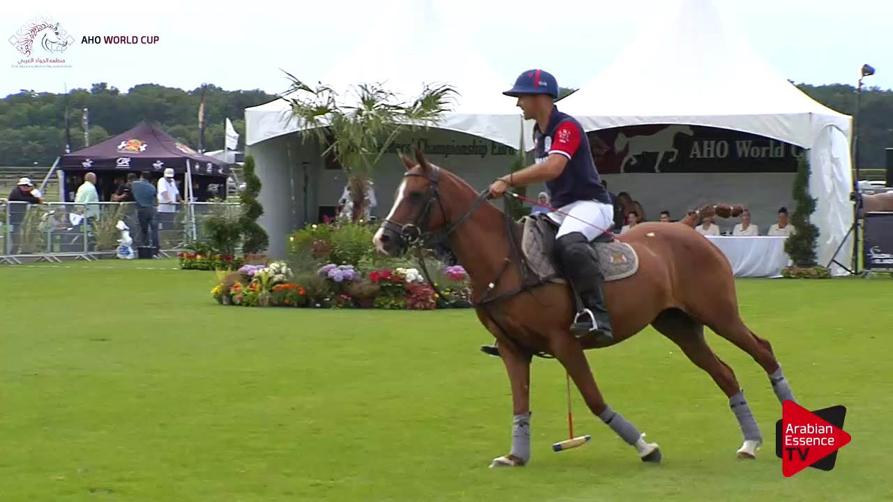 Chantilly 2017 - AHO WC - Demonstrations Polo