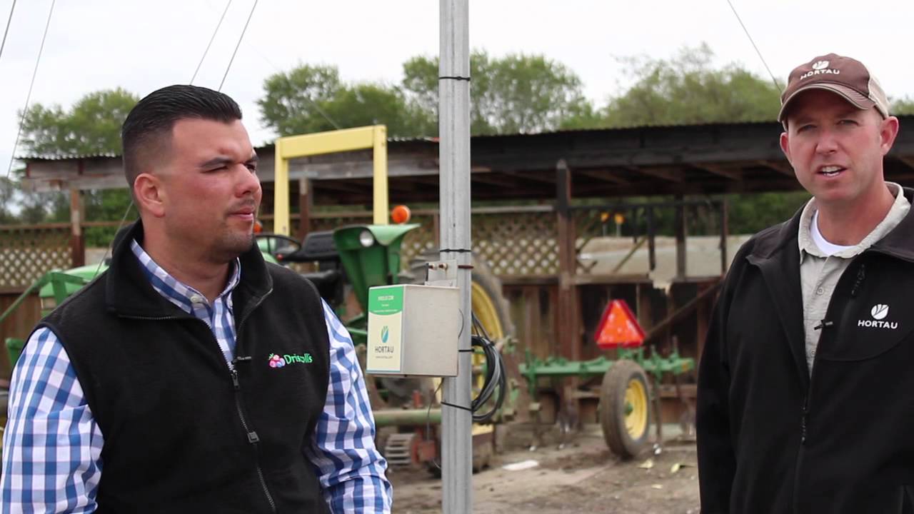 Precision Irrigation at Reiter Berry Farms