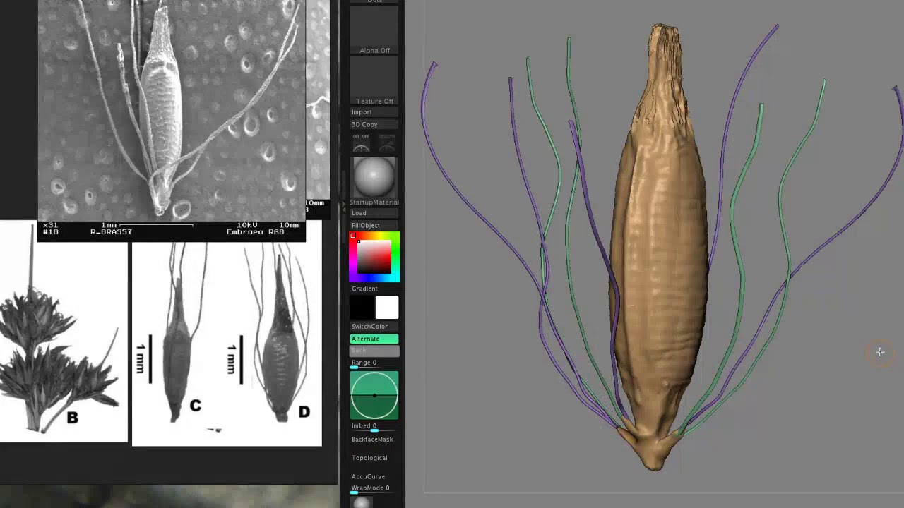 zbrush pen ink matcap test