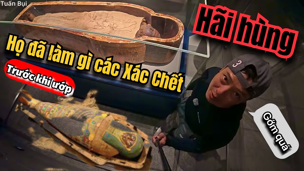 🇪🇬 Qui trình ướp xác Pharaoh như thế nào ? Mummification Museum sẽ giúp chúng ta trả lời câu hỏi đó