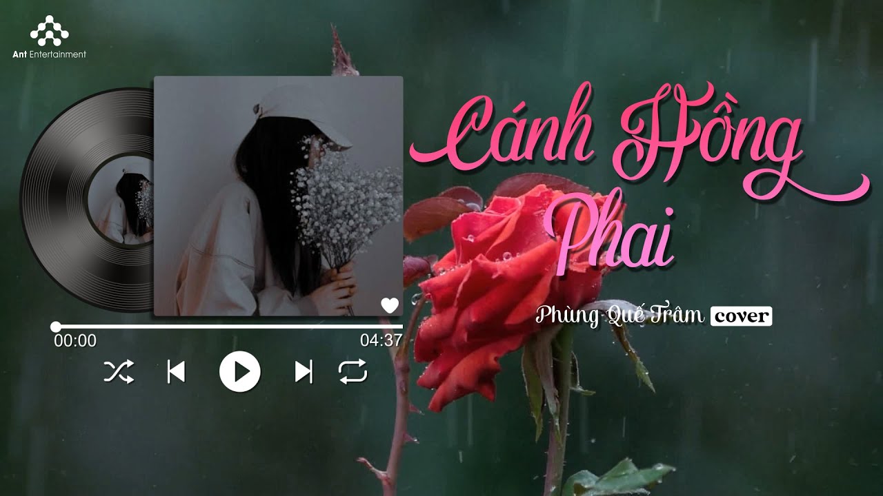 Cánh Hồng Phai - Phùng Quế Trâm Cover  x Kỷ Niệm Xưa | Nhạc 8x 9x Đời Đầu - COVER TRIỆU VIEW