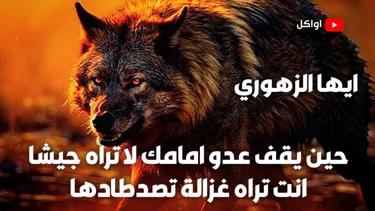 أيها الزوهري… هكذا ترى أعداءك 👁️🐺 السر الذي لا يفهمه البشر - ليس للكل +212