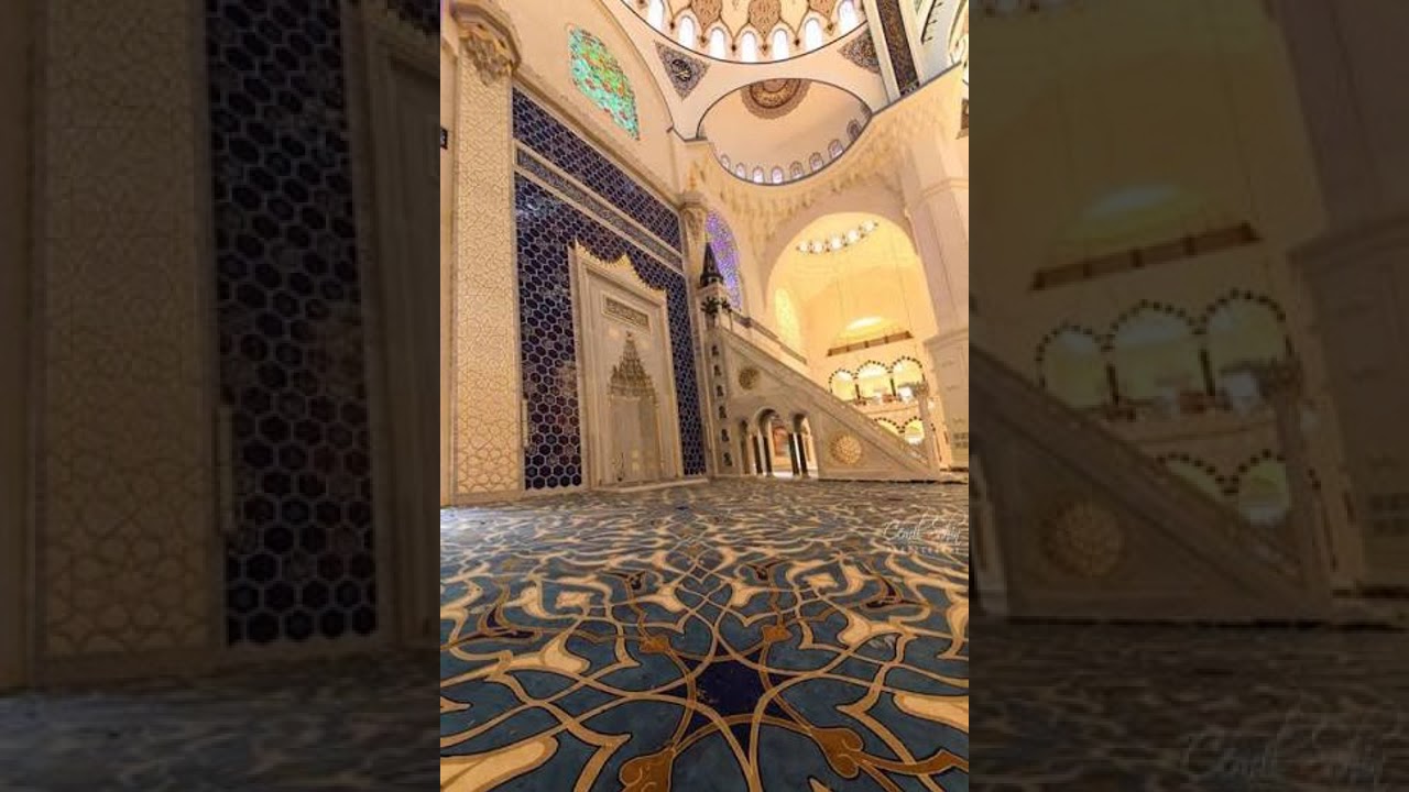 قطوف من سيرة المصطفى صلى الله عليه وسلم