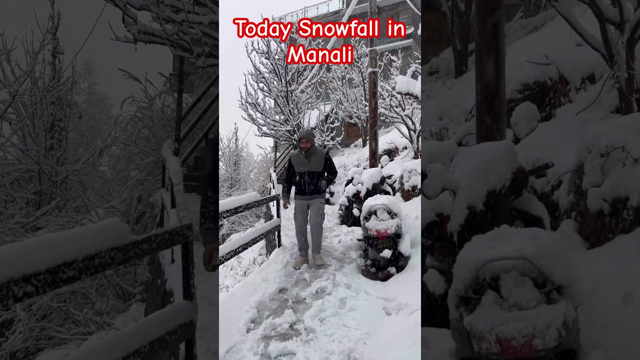 Manali Snowfall condition today #snowfall #sissuvalley #ataltunnel #travel #manali #shorts #viral