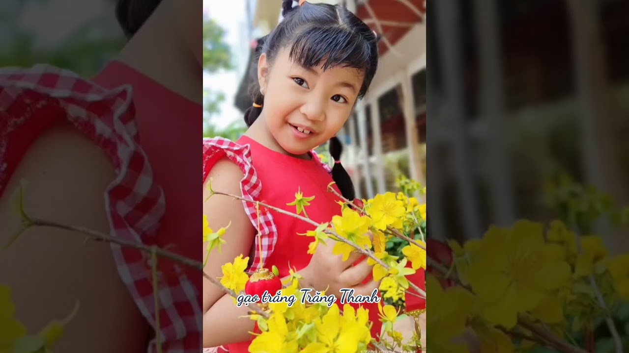 Gạo trắng Trăng Thanh