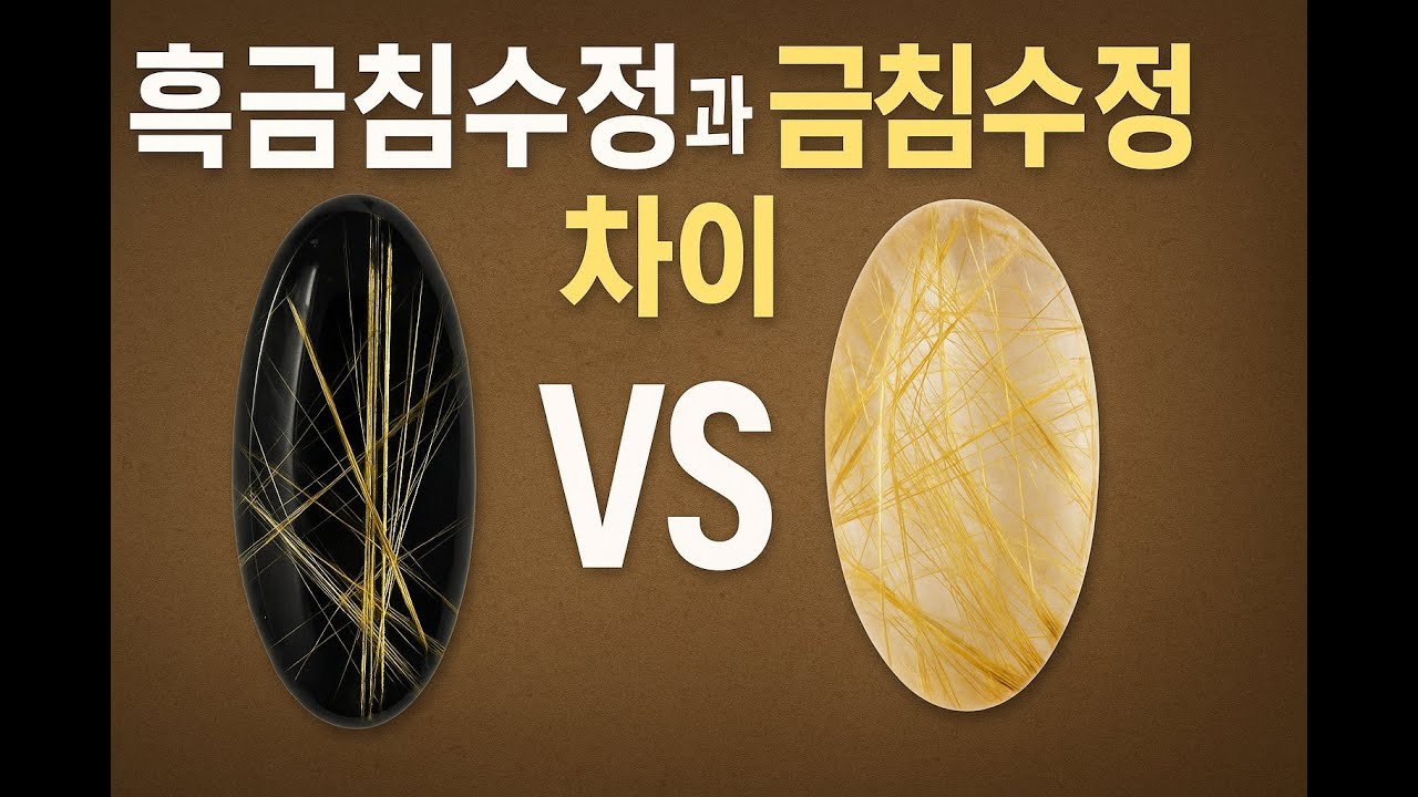 흑금침 VS 금침! 무슨 차이?