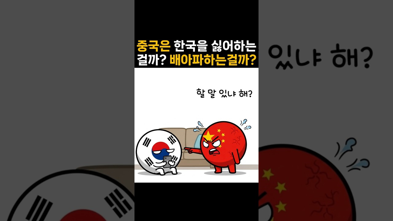 한국이 두려울때 나오는 중국 반응                             #한글 #사드 #중국 #문화공정 #shorts