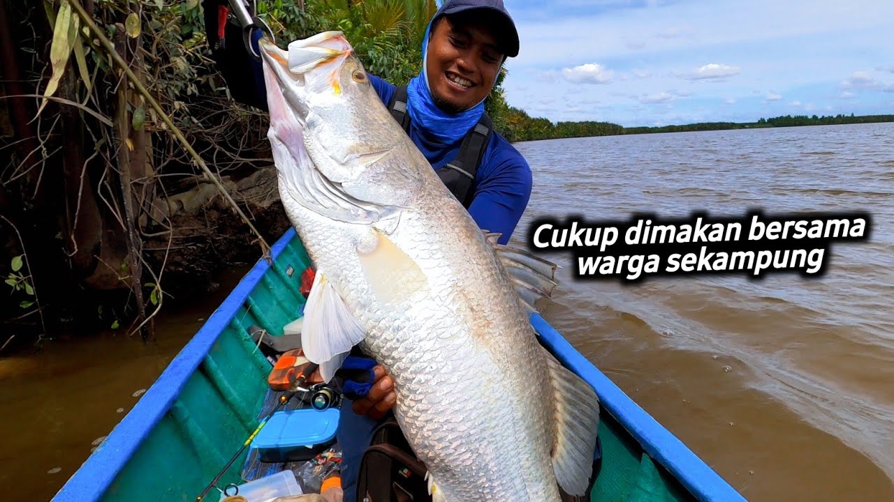 Real Monster Barramundi 🎣 Mancing Ikan Kakap Putih Besar di Muara Sungai Besar