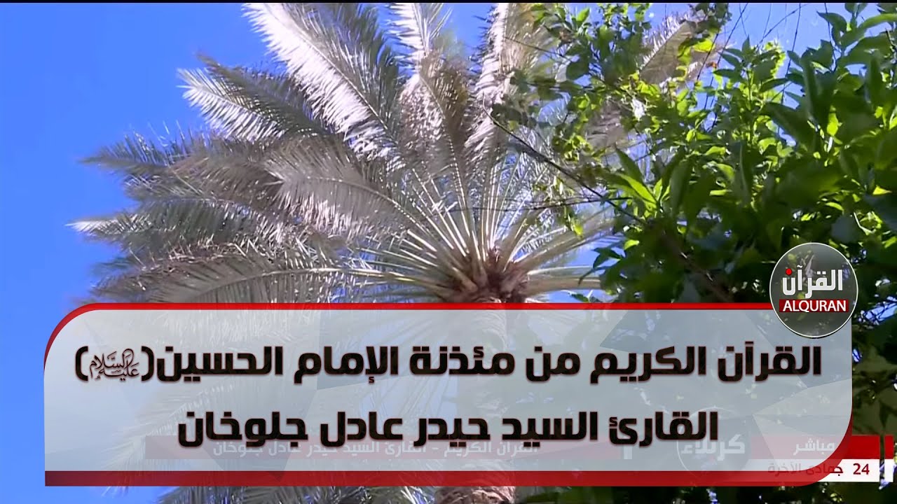 القرآن الكريم من مئذنة الإمام الحسين (عليه السلام) القارئ حيدر عادل جلوخان - 24 جمادى الاخرة 1445 هـ