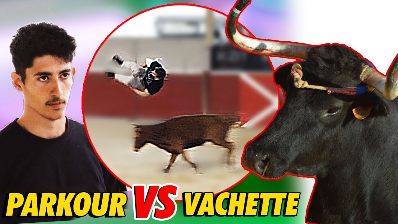 PARKOUR VS VACHETTE (ft.West Coast Family & Monkey Family)