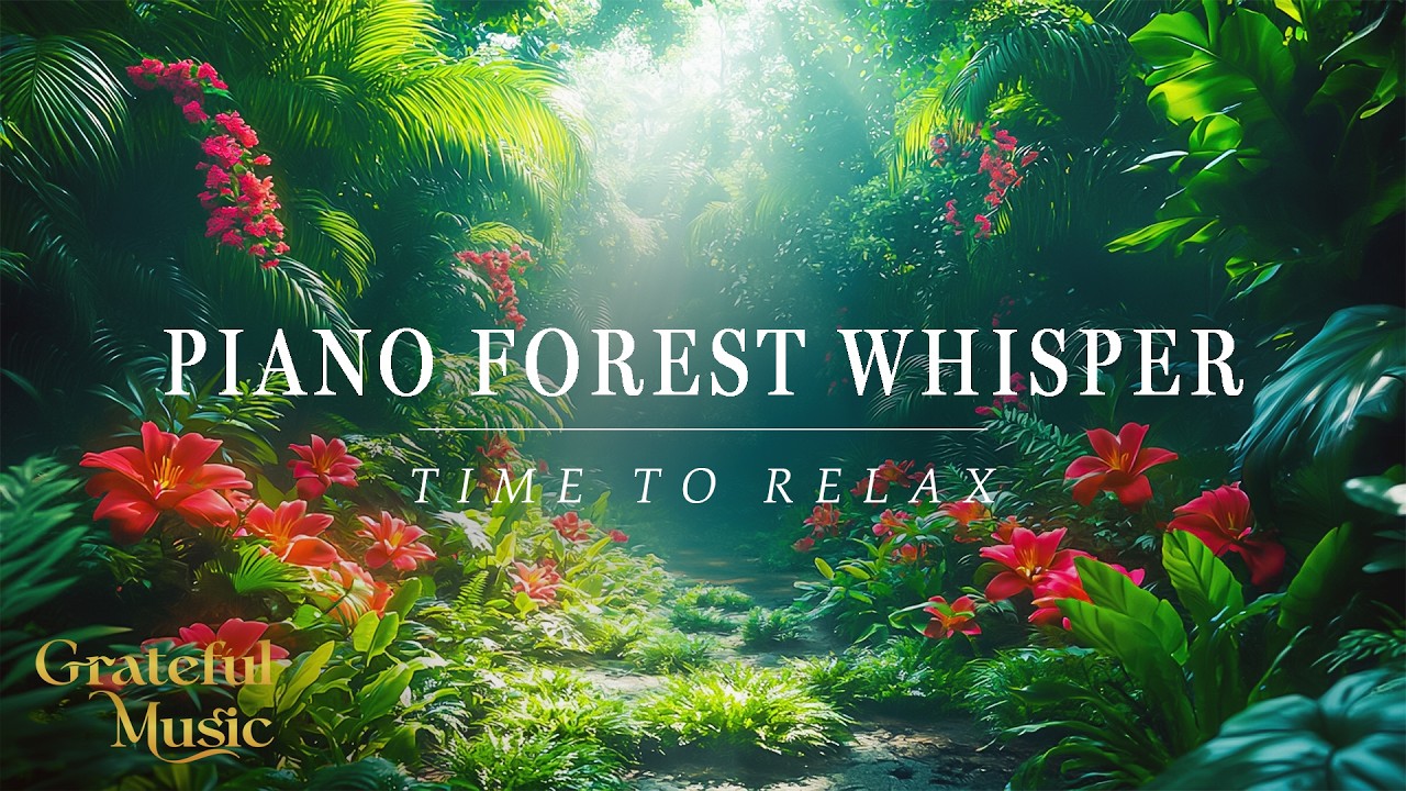 Piano The Most Beautiful Timeless Sounds | 3 Hours of Calm Music